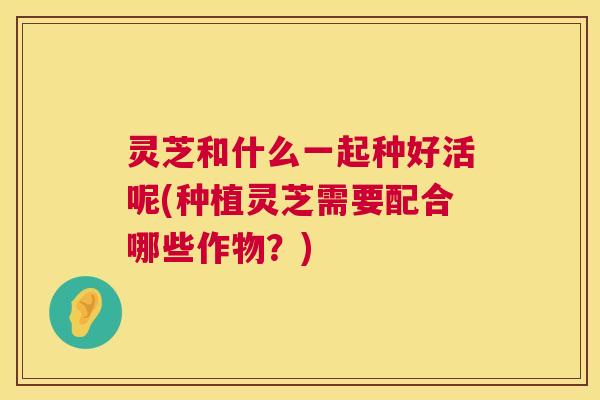 灵芝和什么一起种好活呢(种植灵芝需要配合哪些作物？)