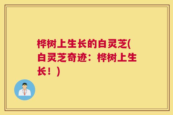 桦树上生长的白灵芝(白灵芝奇迹:桦树上生长!) 桦树上生长的白灵芝(白灵芝奇迹:桦树上生长!)