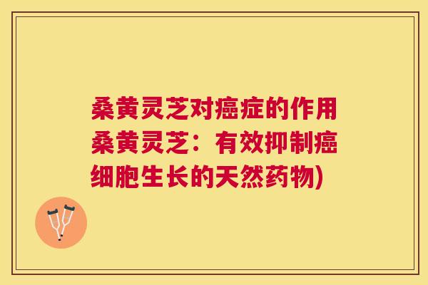 桑黄灵芝对癌症的作用桑黄灵芝:有效抑制癌细胞生长的天然药物) 桑黄灵芝对癌症的作用桑黄灵芝:有效抑制癌细胞生长的天然药物)