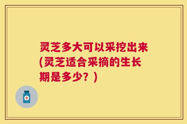 灵芝多大可以采挖出来(灵芝适合采摘的生长期是多少?) 灵芝多大可以采挖出来(灵芝适合采摘的生长期是多少?)