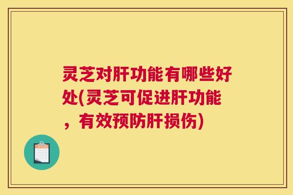 灵芝对肝功能有哪些好处(灵芝可促进肝功能,有效预防肝损伤) 灵芝对肝功能有哪些好处(灵芝可促进肝功能,有效预防肝损伤)