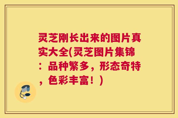 灵芝刚长出来的图片真实大全(灵芝图片集锦:品种繁多,形态奇特,色彩丰富!) 灵芝刚长出来的图片真实大全(灵芝图片集锦:品种繁多,形态奇特,色彩丰富!)