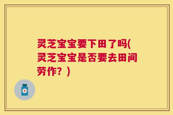 灵芝宝宝要下田了吗(灵芝宝宝是否要去田间劳作?) 灵芝宝宝要下田了吗(灵芝宝宝是否要去田间劳作?)