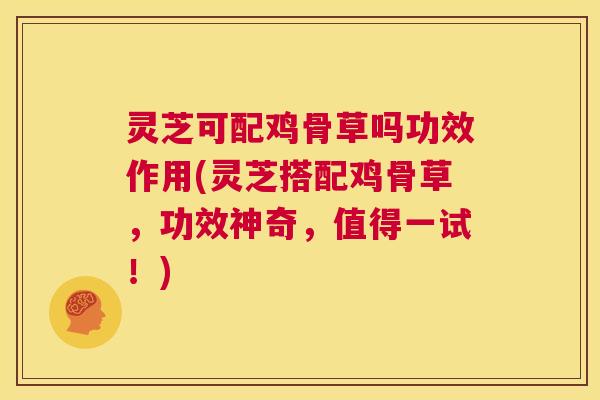 灵芝可配鸡骨草吗功效作用(灵芝搭配鸡骨草，功效神奇，值得一试！)