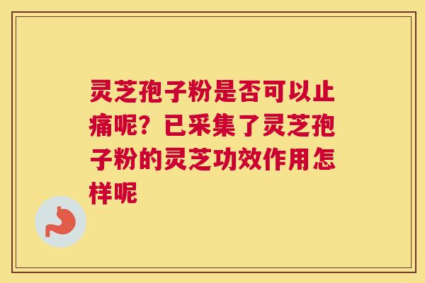 灵芝孢子粉是否可以止痛呢?已采集了灵芝孢子粉的灵芝功效作用怎样呢 灵芝孢子粉是否可以止痛呢?已采集了灵芝孢子粉的灵芝功效作用怎样呢