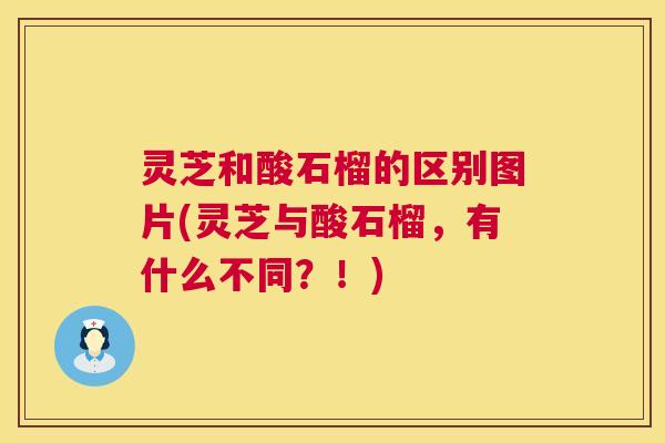 灵芝和酸石榴的区别图片(灵芝与酸石榴,有什么不同?!) 灵芝和酸石榴的区别图片(灵芝与酸石榴,有什么不同?!)