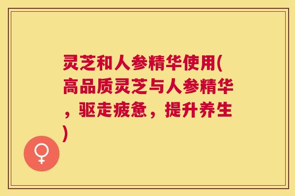 灵芝和人参精华使用(高品质灵芝与人参精华,驱走疲惫,提升养生) 灵芝和人参精华使用(高品质灵芝与人参精华,驱走疲惫,提升养生)
