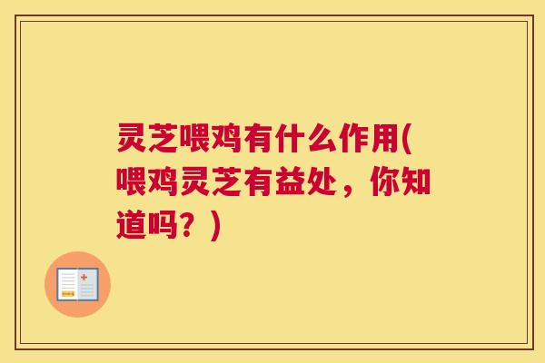 灵芝喂鸡有什么作用(喂鸡灵芝有益处,你知道吗?) 灵芝喂鸡有什么作用(喂鸡灵芝有益处,你知道吗?)