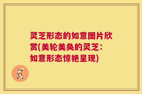 灵芝形态的如意图片欣赏(美轮美奂的灵芝:如意形态惊艳呈现) 灵芝形态的如意图片欣赏(美轮美奂的灵芝:如意形态惊艳呈现)