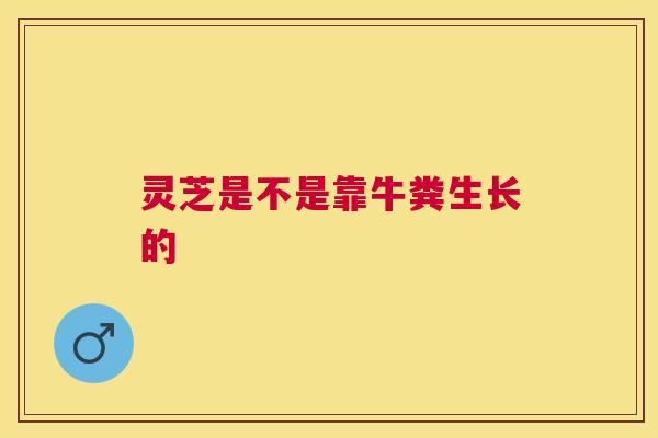灵芝是不是靠牛粪生长的 灵芝是不是靠牛粪生长的
