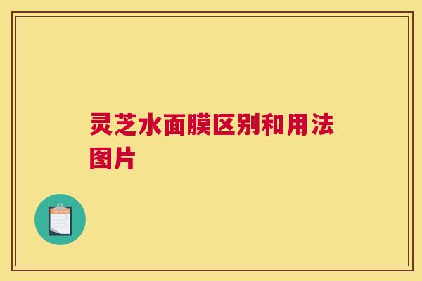 灵芝水面膜区别和用法图片 灵芝水面膜区别和用法图片