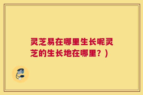 灵芝易在哪里生长呢灵芝的生长地在哪里？)