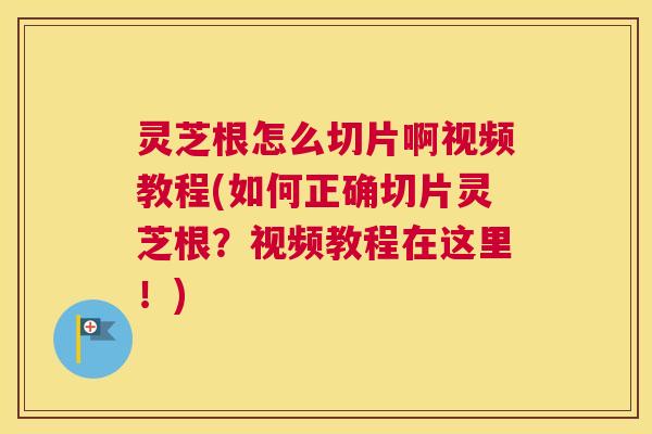 灵芝根怎么切片啊视频教程(如何正确切片灵芝根？视频教程在这里！)