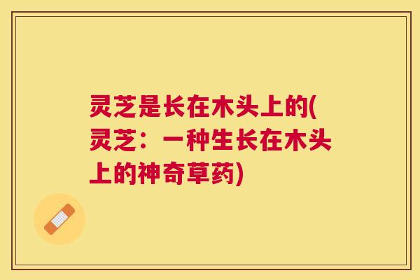 灵芝是长在木头上的(灵芝：一种生长在木头上的神奇草药)