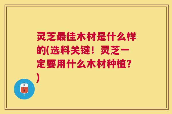 灵芝佳木材是什么样的(选料关键！灵芝一定要用什么木材种植？)