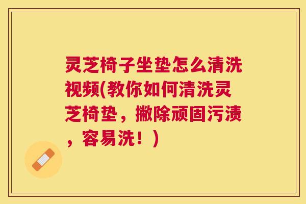 灵芝椅子坐垫怎么清洗视频(教你如何清洗灵芝椅垫，撇除顽固污渍，容易洗！)