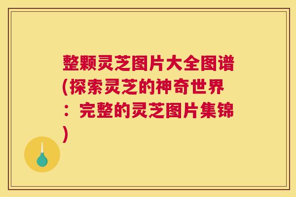 整颗灵芝图片大全图谱(探索灵芝的神奇世界：完整的灵芝图片集锦)