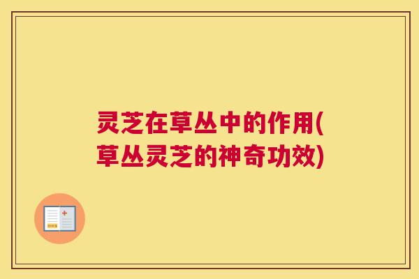 灵芝在草丛中的作用(草丛灵芝的神奇功效)