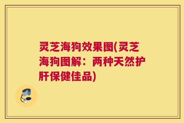 灵芝海狗效果图(灵芝海狗图解:两种天然护肝保健佳品) 灵芝海狗效果图(灵芝海狗图解:两种天然护肝保健佳品)