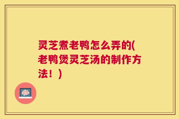 灵芝煮老鸭怎么弄的(老鸭煲灵芝汤的制作方法!) 灵芝煮老鸭怎么弄的(老鸭煲灵芝汤的制作方法!)
