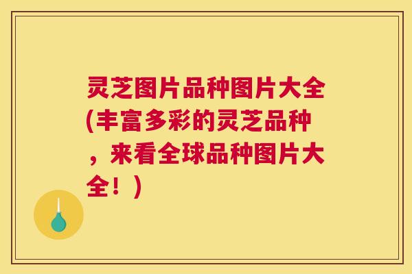 灵芝图片品种图片大全(丰富多彩的灵芝品种,来看全球品种图片大全!) 灵芝图片品种图片大全(丰富多彩的灵芝品种,来看全球品种图片大全!)