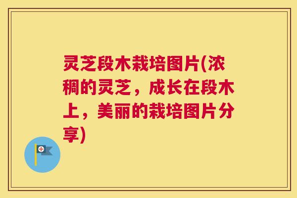 灵芝段木栽培图片(浓稠的灵芝，成长在段木上，美丽的栽培图片分享)