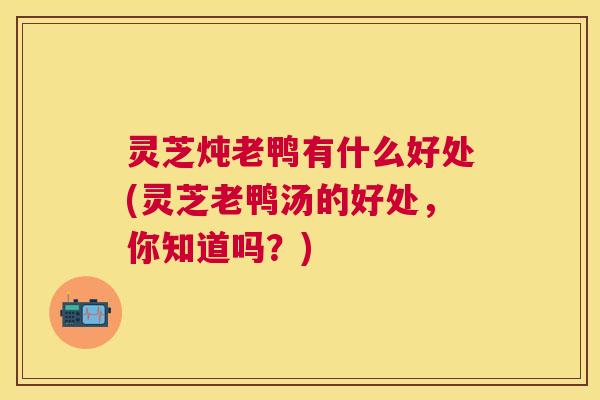 灵芝炖老鸭有什么好处(灵芝老鸭汤的好处，你知道吗？)