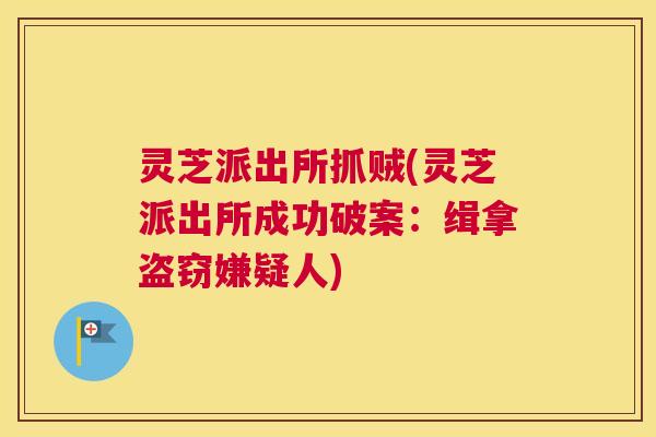 灵芝派出所抓贼(灵芝派出所成功破案：缉拿盗窃嫌疑人)