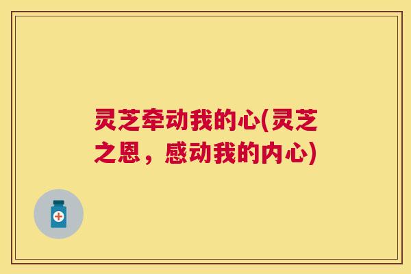灵芝牵动我的心(灵芝之恩，感动我的内心)