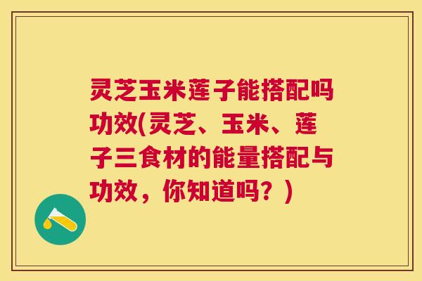 灵芝玉米莲子能搭配吗功效(灵芝、玉米、莲子三食材的能量搭配与功效，你知道吗？)