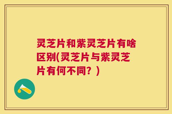 灵芝片和紫灵芝片有啥区别(灵芝片与紫灵芝片有何不同？)