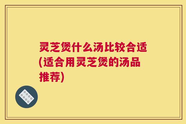 灵芝煲什么汤比较合适(适合用灵芝煲的汤品推荐)
