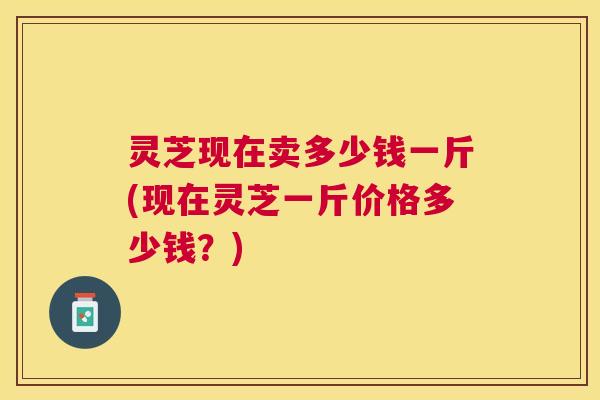 灵芝现在卖多少钱一斤(现在灵芝一斤价格多少钱？)