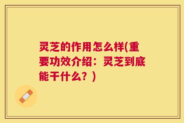 灵芝的作用怎么样(重要功效介绍：灵芝到底能干什么？)