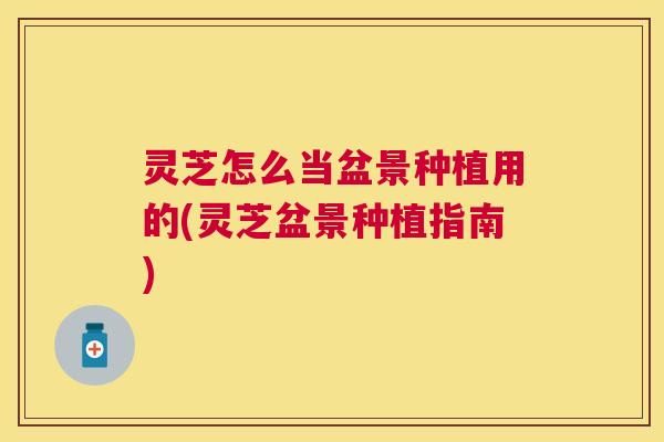 灵芝怎么当盆景种植用的(灵芝盆景种植指南) 灵芝怎么当盆景种植用的(灵芝盆景种植指南)