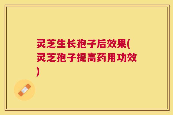 灵芝生长孢子后效果(灵芝孢子提高药用功效) 灵芝生长孢子后效果(灵芝孢子提高药用功效)