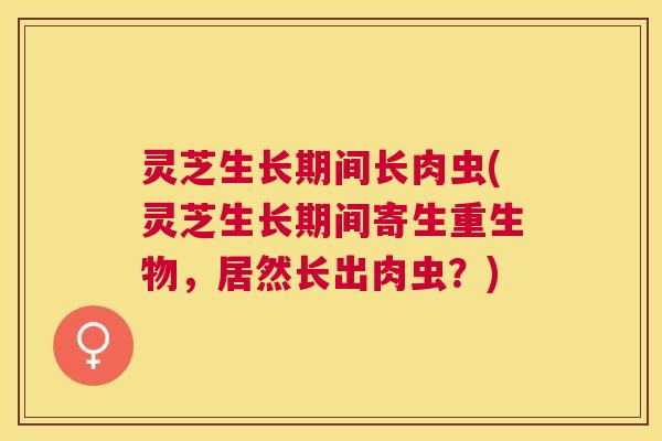 灵芝生长期间长肉虫(灵芝生长期间寄生重生物,居然长出肉虫?) 灵芝生长期间长肉虫(灵芝生长期间寄生重生物,居然长出肉虫?)