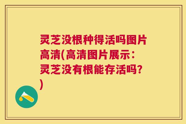 灵芝没根种得活吗图片高清(高清图片展示：灵芝没有根能存活吗？)