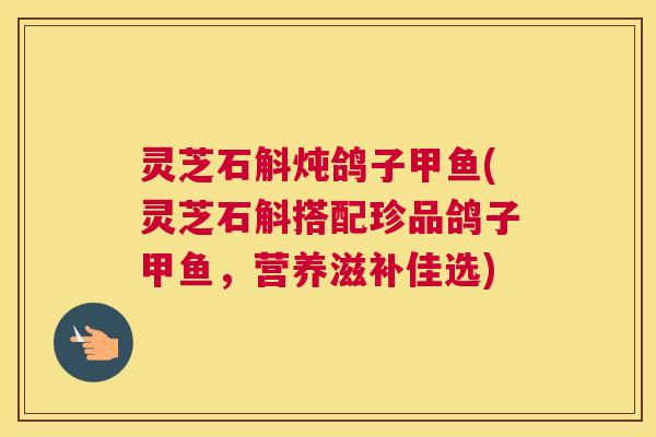 灵芝石斛炖鸽子甲鱼(灵芝石斛搭配珍品鸽子甲鱼,营养滋补佳选) 灵芝石斛炖鸽子甲鱼(灵芝石斛搭配珍品鸽子甲鱼,营养滋补佳选)