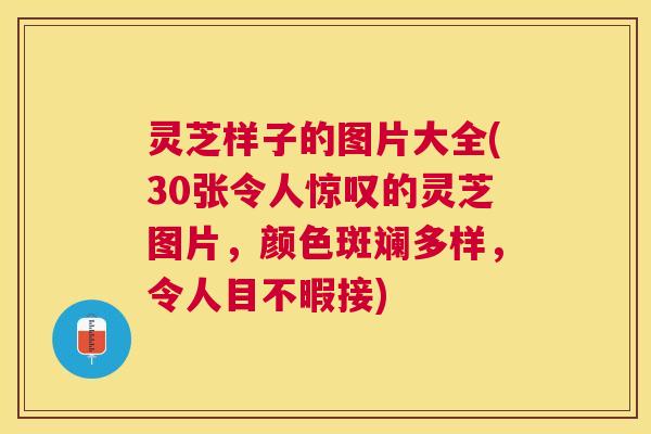 灵芝样子的图片大全(30张令人惊叹的灵芝图片,颜色斑斓多样,令人目不暇接) 灵芝样子的图片大全(30张令人惊叹的灵芝图片,颜色斑斓多样,令人目不暇接)