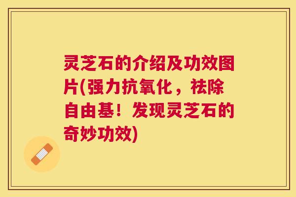 灵芝石的介绍及功效图片(强力抗氧化,祛除自由基!发现灵芝石的奇妙功效) 灵芝石的介绍及功效图片(强力抗氧化,祛除自由基!发现灵芝石的奇妙功效)