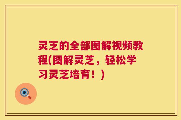 灵芝的全部图解视频教程(图解灵芝,轻松学习灵芝培育!) 灵芝的全部图解视频教程(图解灵芝,轻松学习灵芝培育!)