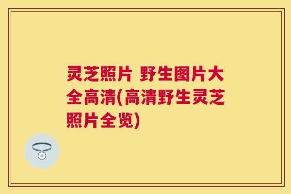 灵芝照片 野生图片大全高清(高清野生灵芝照片全览) 灵芝照片 野生图片大全高清(高清野生灵芝照片全览)
