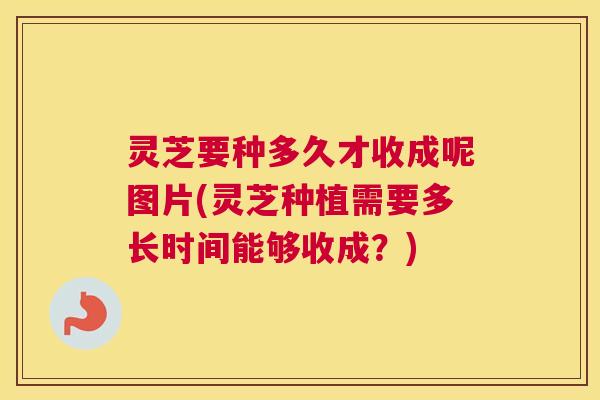 灵芝要种多久才收成呢图片(灵芝种植需要多长时间能够收成?) 灵芝要种多久才收成呢图片(灵芝种植需要多长时间能够收成?)