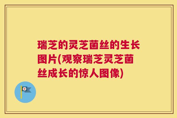 瑞芝的灵芝菌丝的生长图片(观察瑞芝灵芝菌丝成长的惊人图像) 瑞芝的灵芝菌丝的生长图片(观察瑞芝灵芝菌丝成长的惊人图像)
