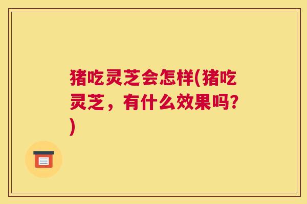 猪吃灵芝会怎样(猪吃灵芝，有什么效果吗？)