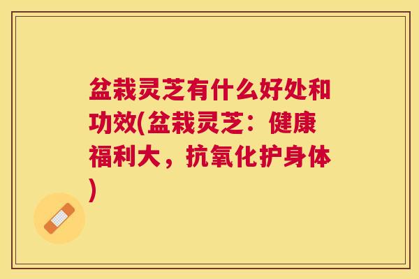 盆栽灵芝有什么好处和功效(盆栽灵芝:健康福利大,抗氧化护身体) 盆栽灵芝有什么好处和功效(盆栽灵芝:健康福利大,抗氧化护身体)