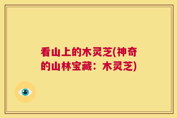 看山上的木灵芝(神奇的山林宝藏:木灵芝) 看山上的木灵芝(神奇的山林宝藏:木灵芝)