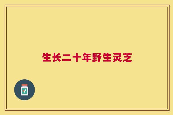 生长二十年野生灵芝 生长二十年野生灵芝