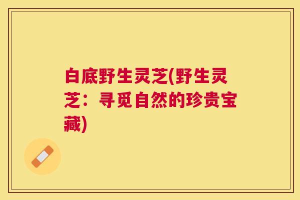 白底野生灵芝(野生灵芝:寻觅自然的珍贵宝藏) 白底野生灵芝(野生灵芝:寻觅自然的珍贵宝藏)